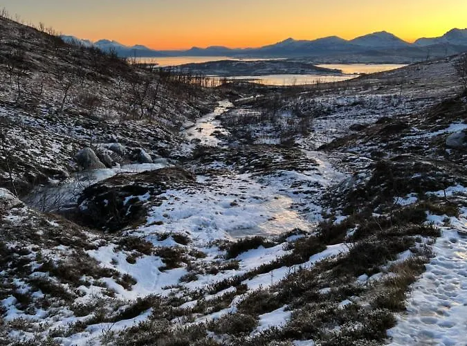 Nymoen Apartment, Kvaloya דירה